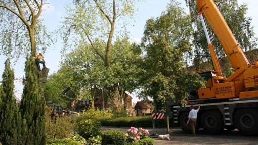 De Deest Didam Dieren Diermen Dijkhoek Dijkhuize Dieren centrum  Den Hoef Didam Dieren Diermen Dijkhoek Dinxperlo Dodewaard Doesburg  Doesburgerbuurt Doetinchem Domme Aanleg